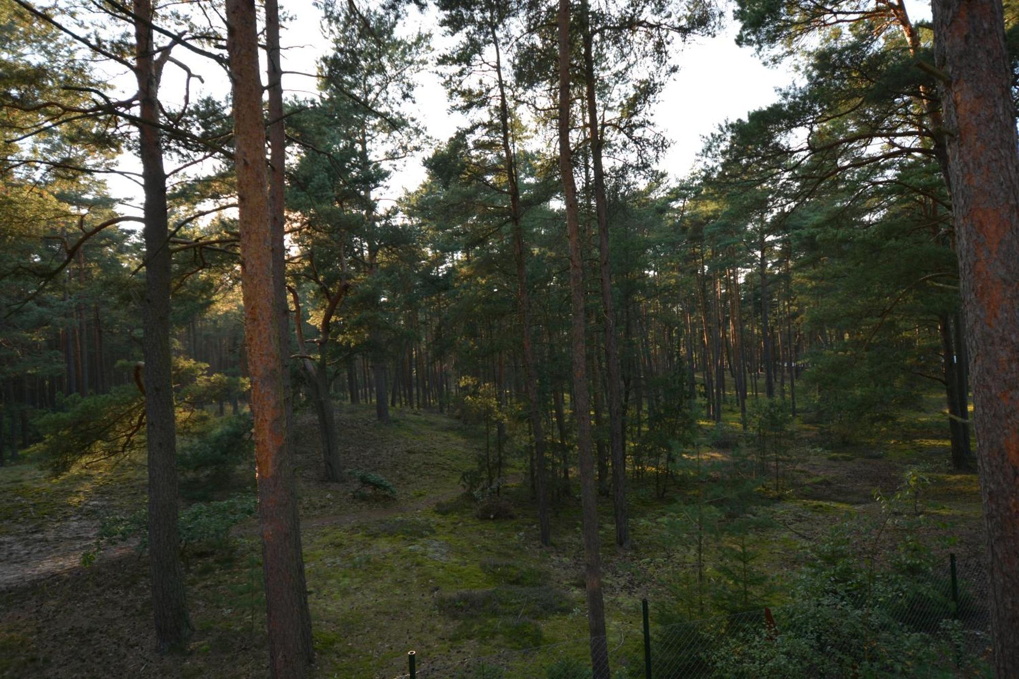 Domyletnie Pobierowo Dom 100M2 Z Dzialka I Balkonem Экстерьер фото